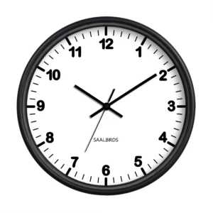 ساعت دیواری سالبردز مدل CWM-115