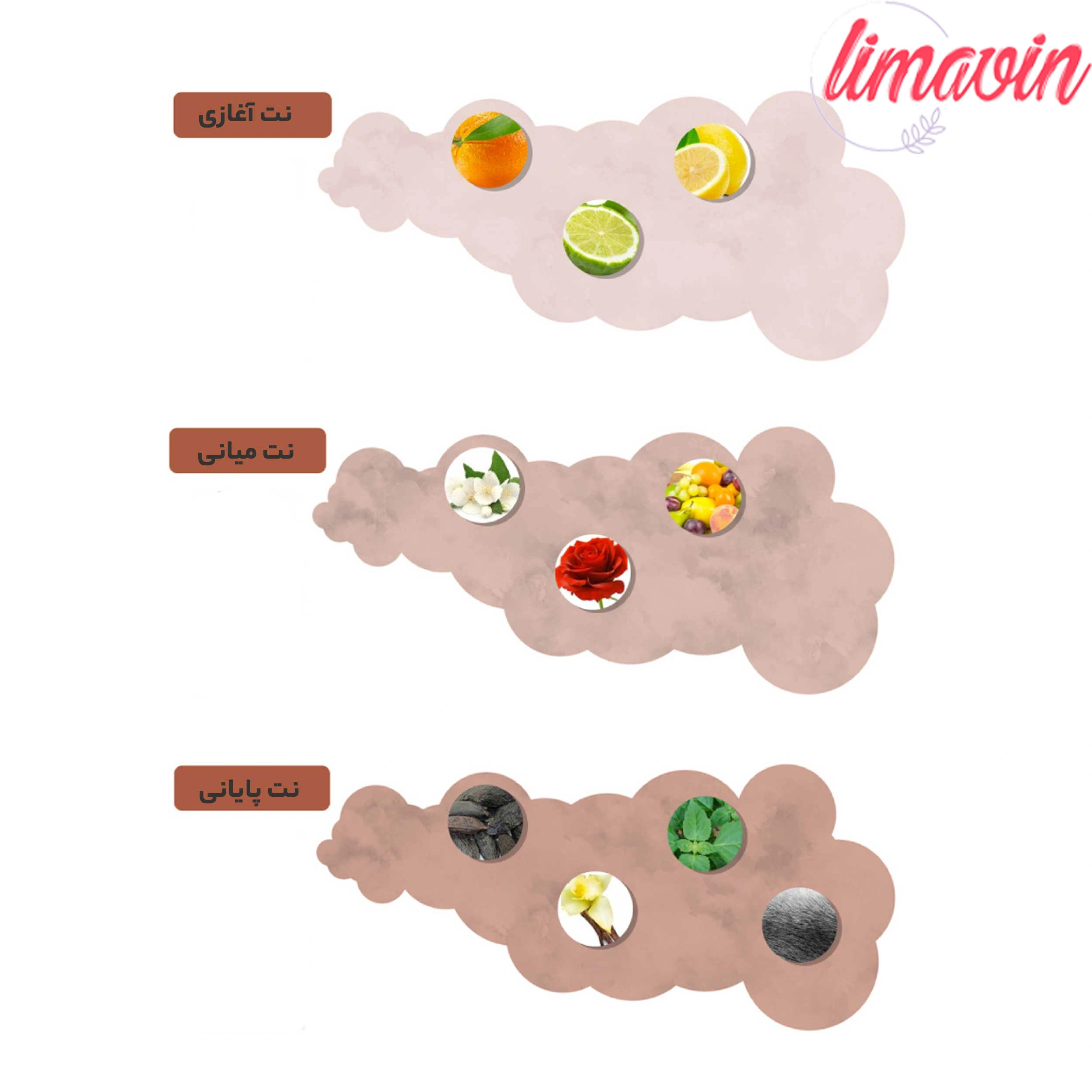 ادو پرفیوم زنانه نیفتی مدل شنل کوکو مادمازل اینتنس حجم 100 میلی لیتر