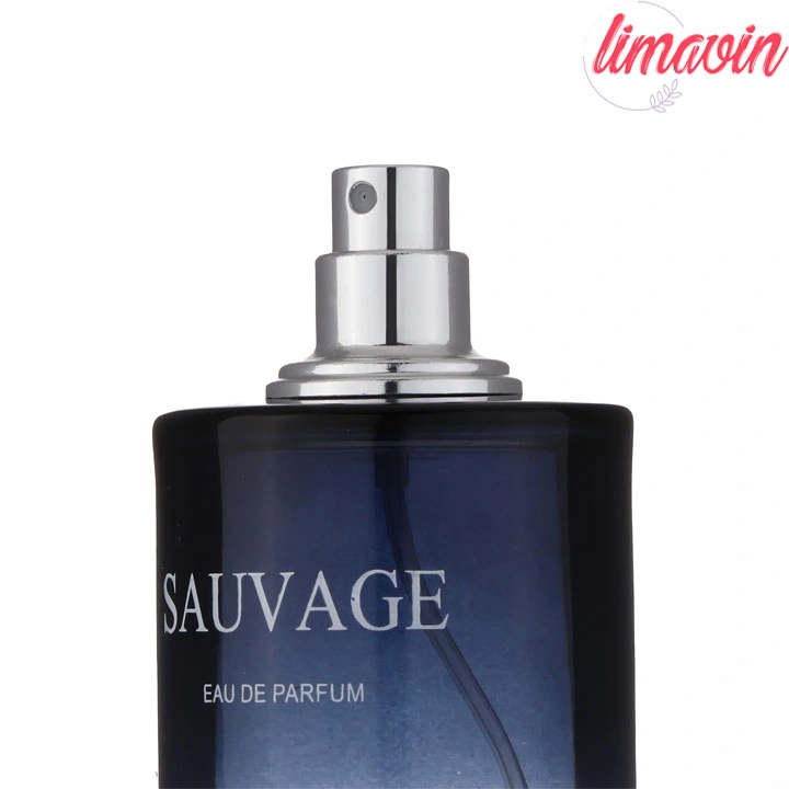 ادو پرفیوم مردانه مدل ساواج دیور حجم 100 میلی لیتر