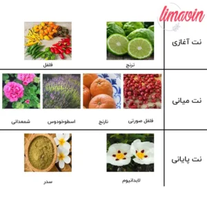 ادو پرفیوم مردانه نیفتی مدل ساواج دیور حجم 60 میلی لیتر