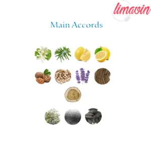 ادو پرفیوم مردانه نیفتی مدل لجند حجم 100 میلی لیتر