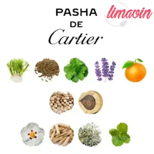 ادو پرفیوم مردانه نیفتی مدل کارتیر پاشا حجم 100 میلی لیتر