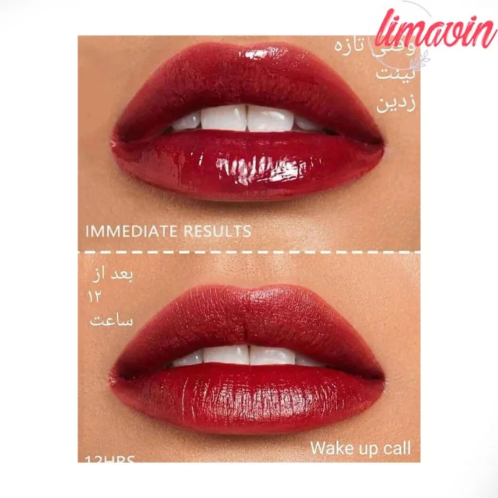 تینت لب شیگلم مایع مدل Take A Hint وزن 3.5 گرم - Image 4