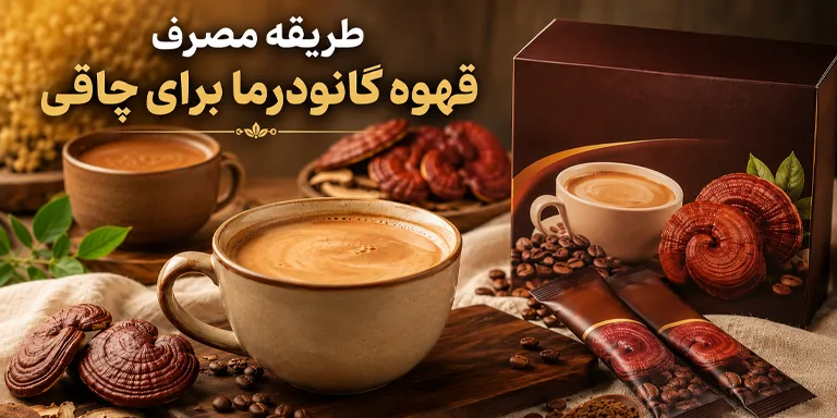 طریقه مصرف قهوه گانودرما برای چاقی