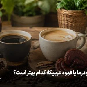 قهوه گانودرما یا قهوه عربیکا؛ کدام بهتر است؟