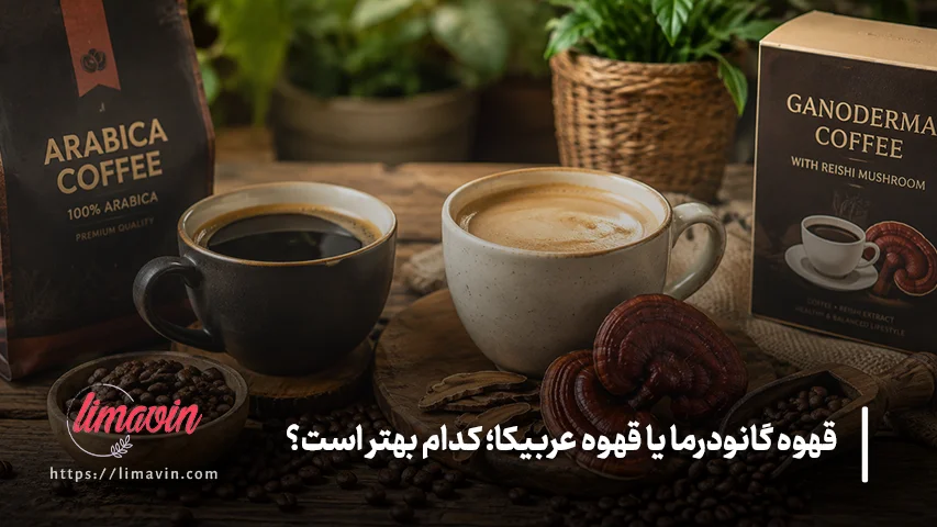قهوه گانودرما یا قهوه عربیکا؛ کدام بهتر است؟