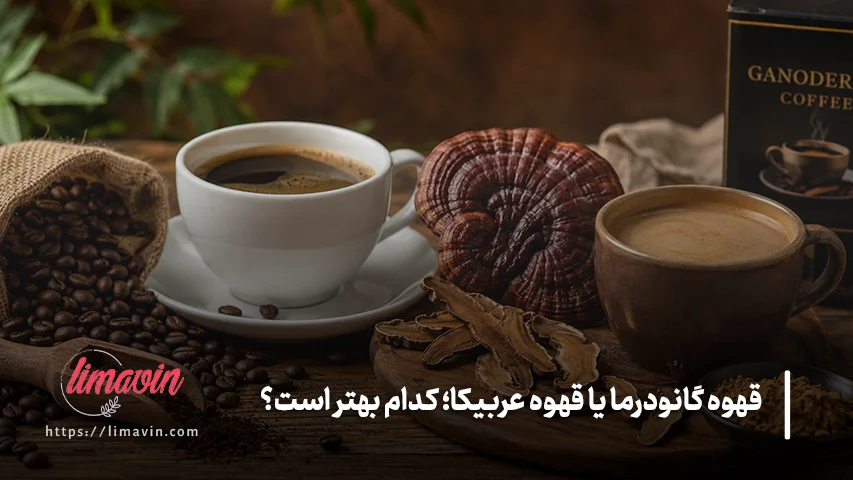 قهوه گانودرما بهتر است یا عربیکا؟ تفاوت اصلی چیست؟