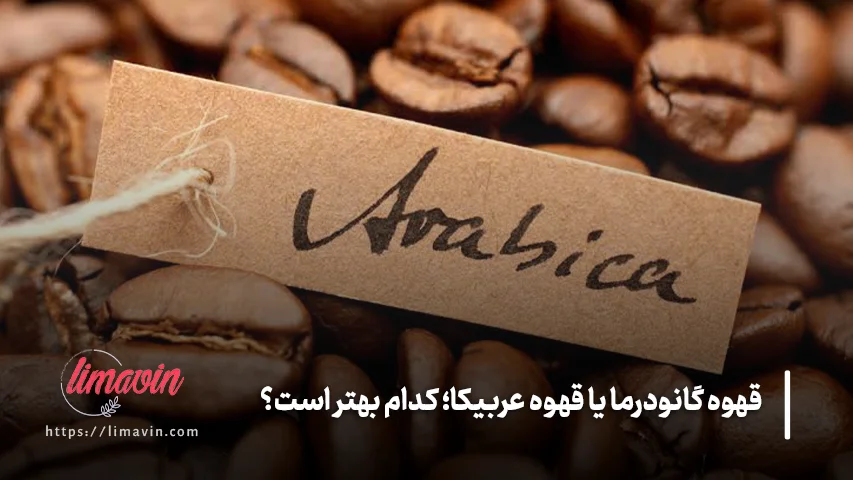 قهوه گانودرما برای لاغری بهتر است یا قهوه عربیکا؟